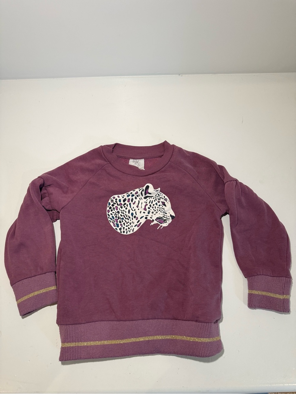 Just Kidding Purple Cheetah Graphic Sweater 3T